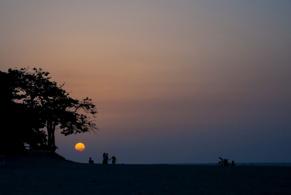 Photo Family tree